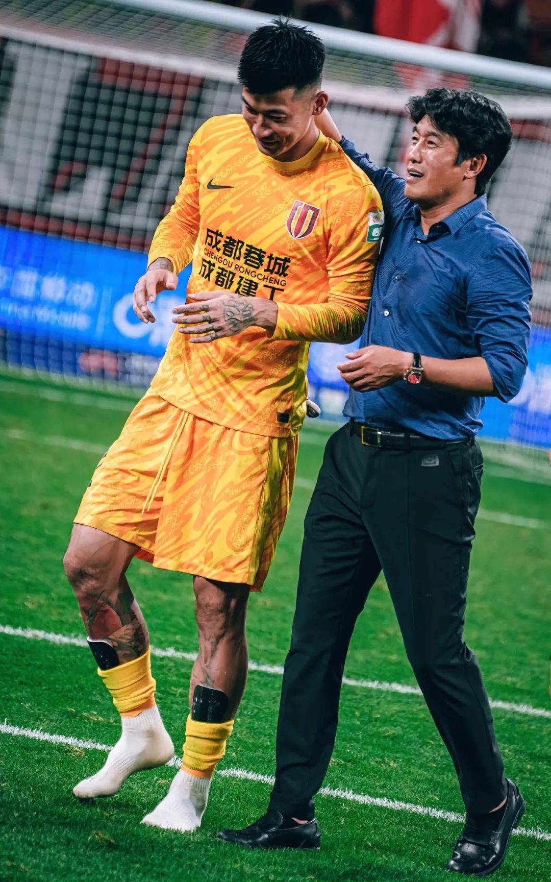 是什么导致 是什么导致